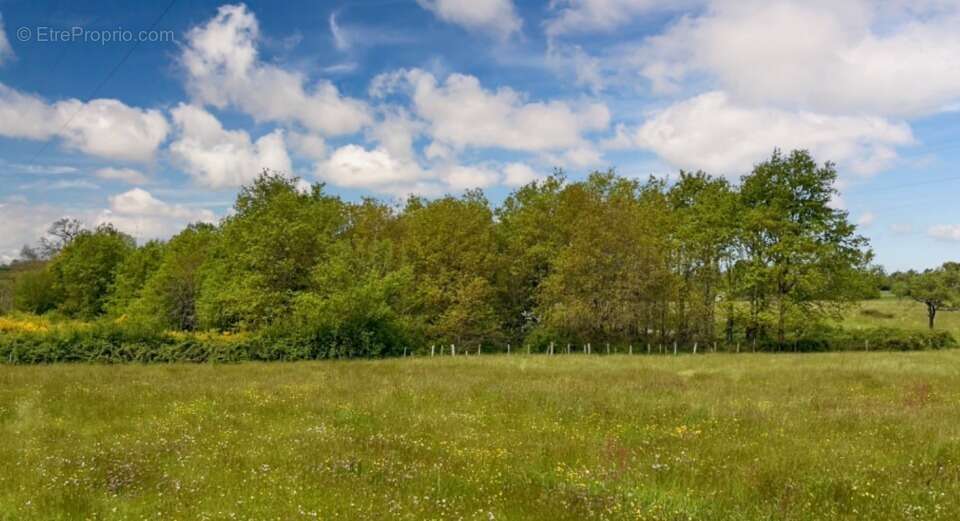 Terrain à YVRE-L'EVEQUE