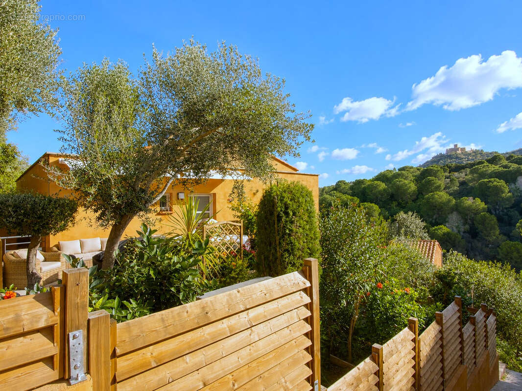 Appartement à COLLIOURE