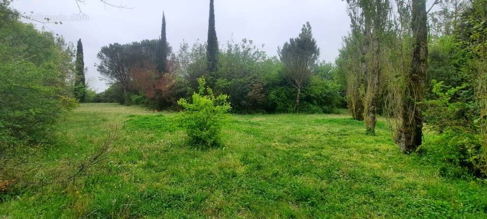 Terrain à TREBONS-SUR-LA-GRASSE