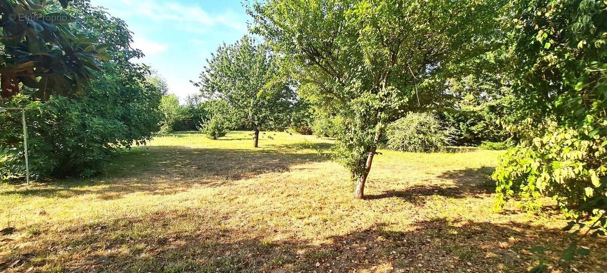 Maison plain-pied et grand jardin arboré - photo 17