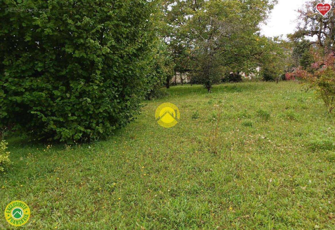 Terrain constructible 1002 m2 - photo 6