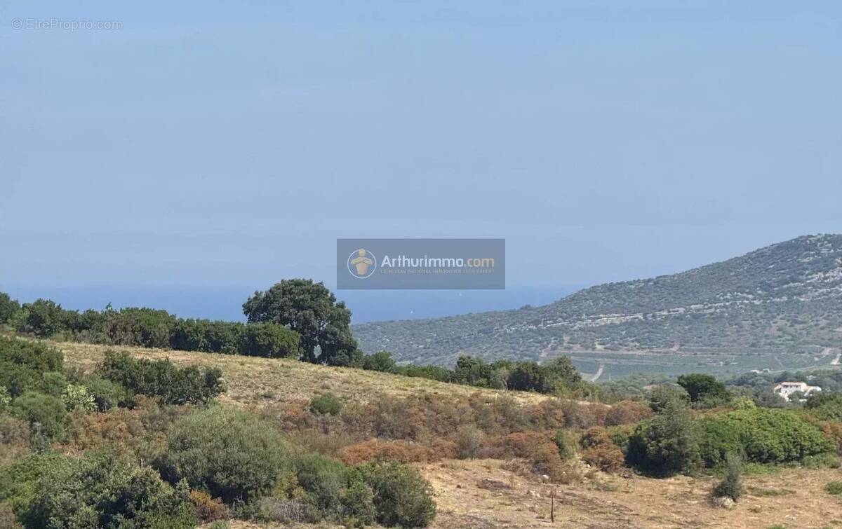 Appartement à OLETTA