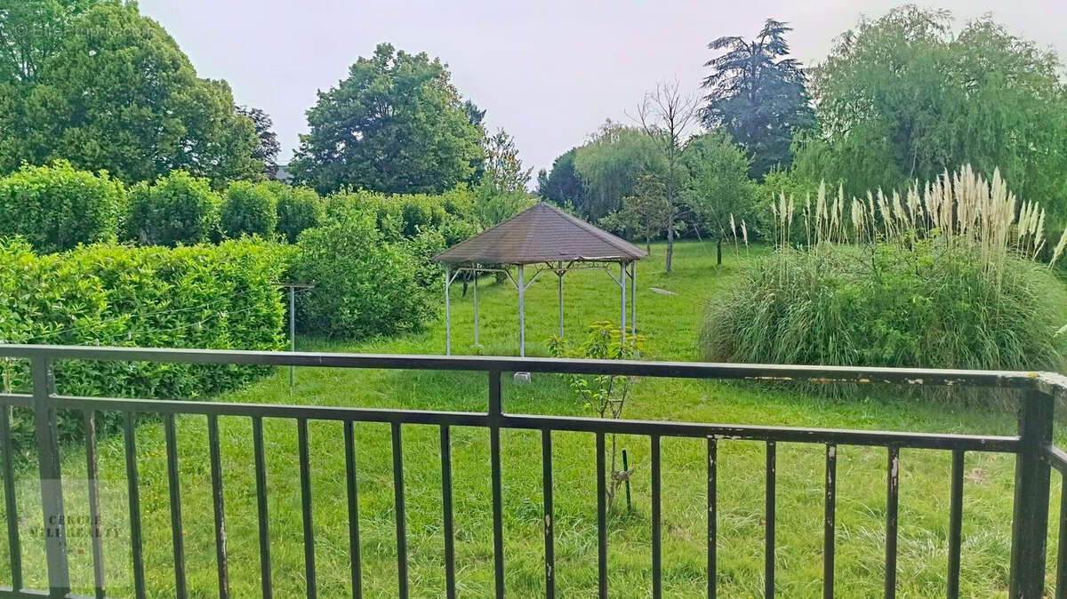 Depuis la terrasse