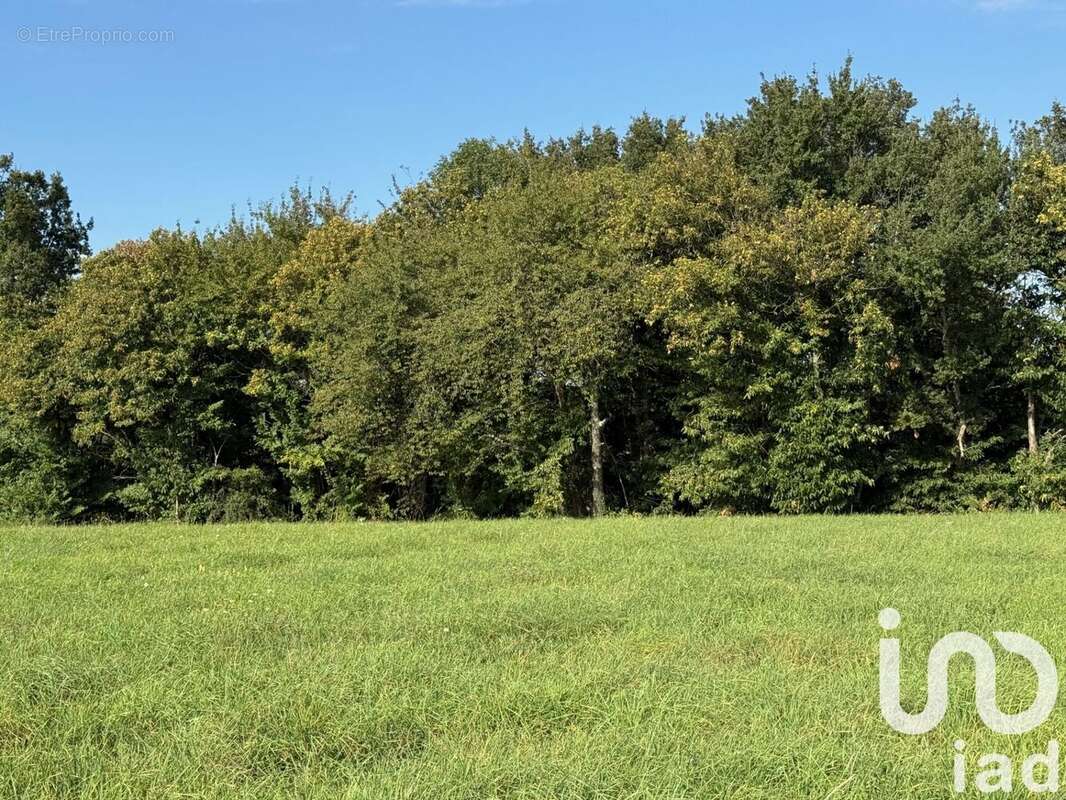 Photo 2 - Terrain à LODES