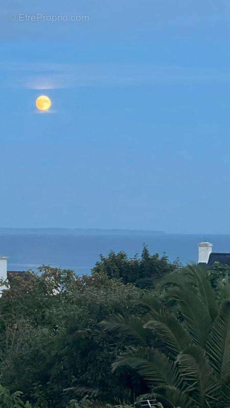 Maison à MOELAN-SUR-MER