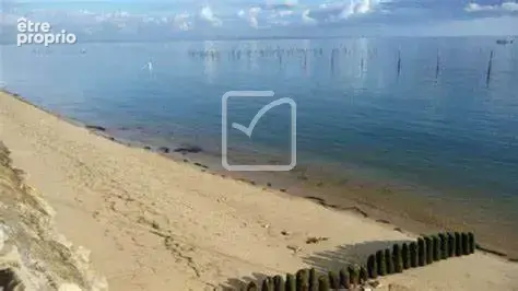 Villas à renover  le canon / piraillan sur la presqu 'ile de lege cap ferret - photo 6