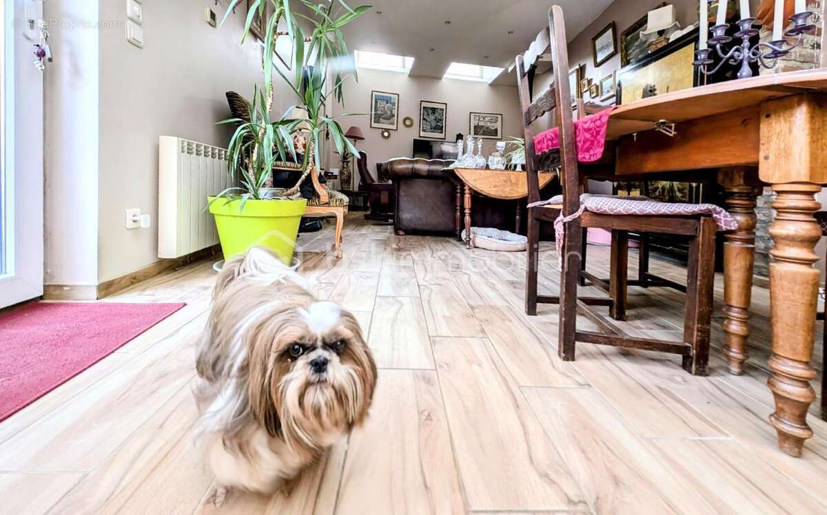 Maison à LUC-SUR-MER