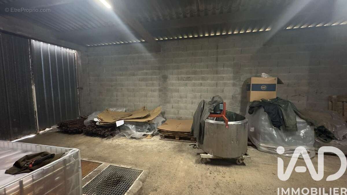 Photo 6 - Maison à MONNIERES