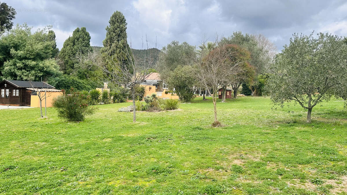 Maison à BORMES-LES-MIMOSAS