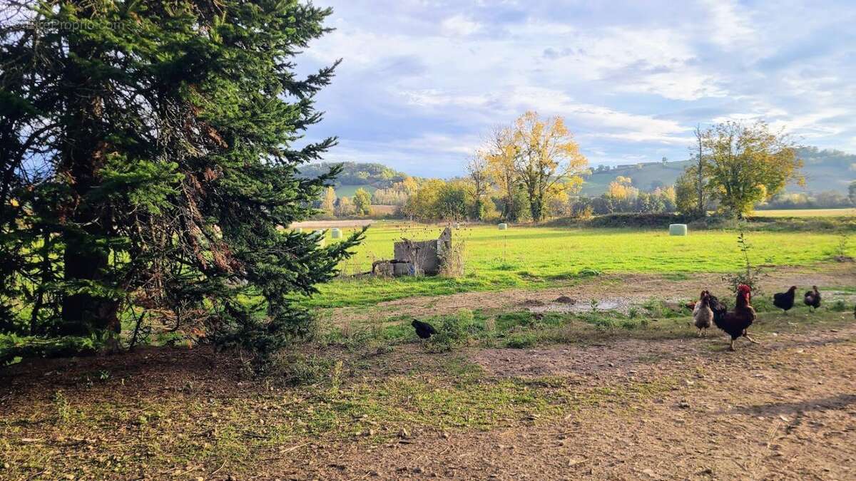 Maison à SAINT-NAZAIRE-DE-VALENTANE