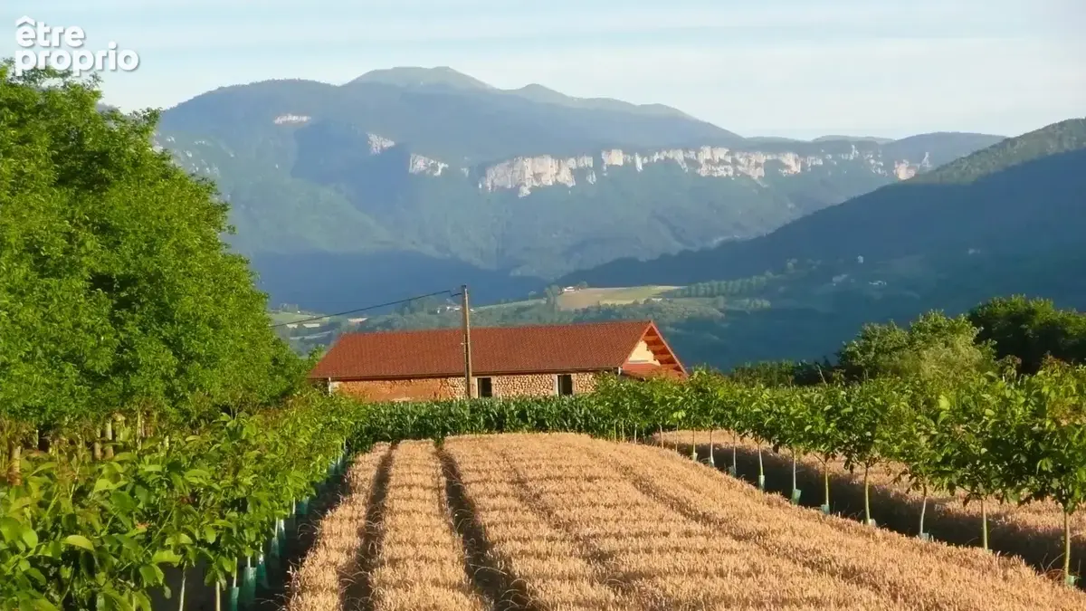 Proche saint marcellin (saint hilaire du rosier) - photo 8