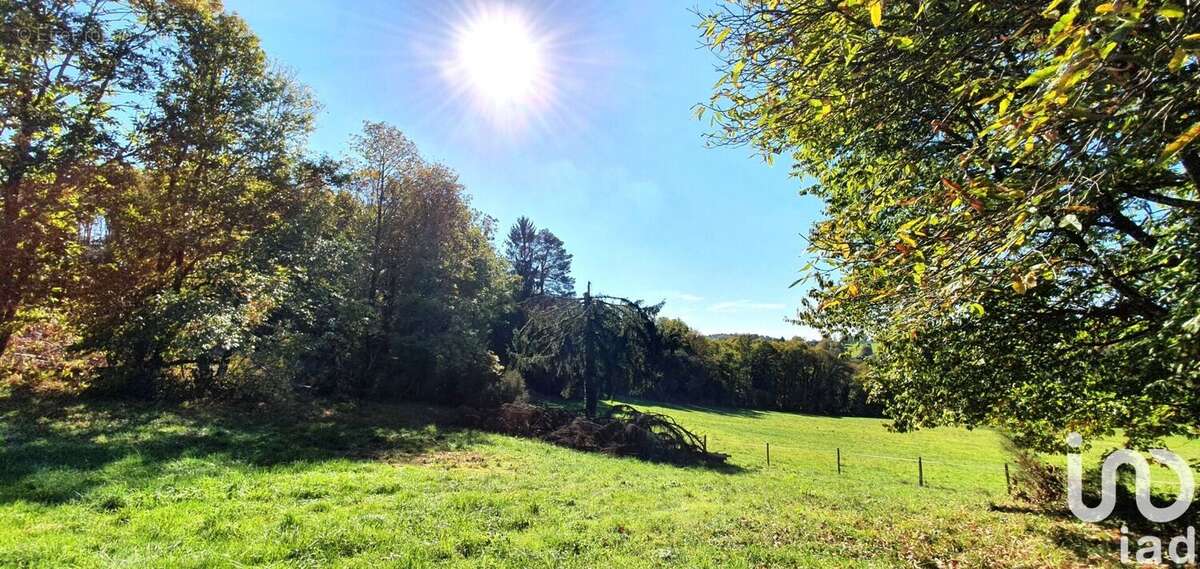 Photo 2 - Terrain à ALBUSSAC