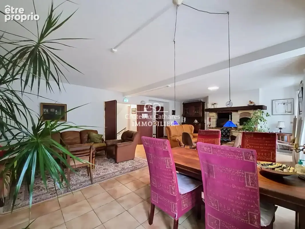 Maison 19 pièces 434 m² à vendre à Axat (11140) - photo 2