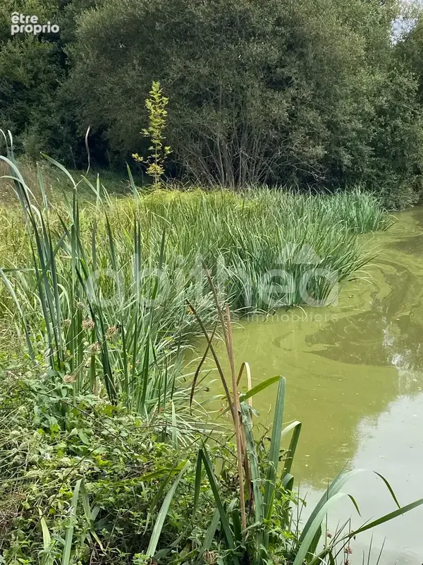 Terrain de loisirs avec 2 etangs - photo 12