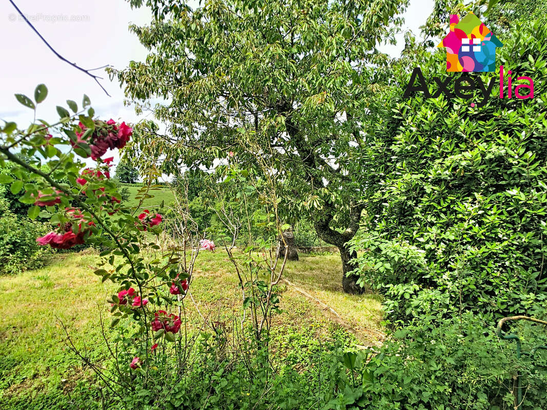 A vendre - a 5 min de charlieu - maison 4 ch avec garage et terrain - photo 3