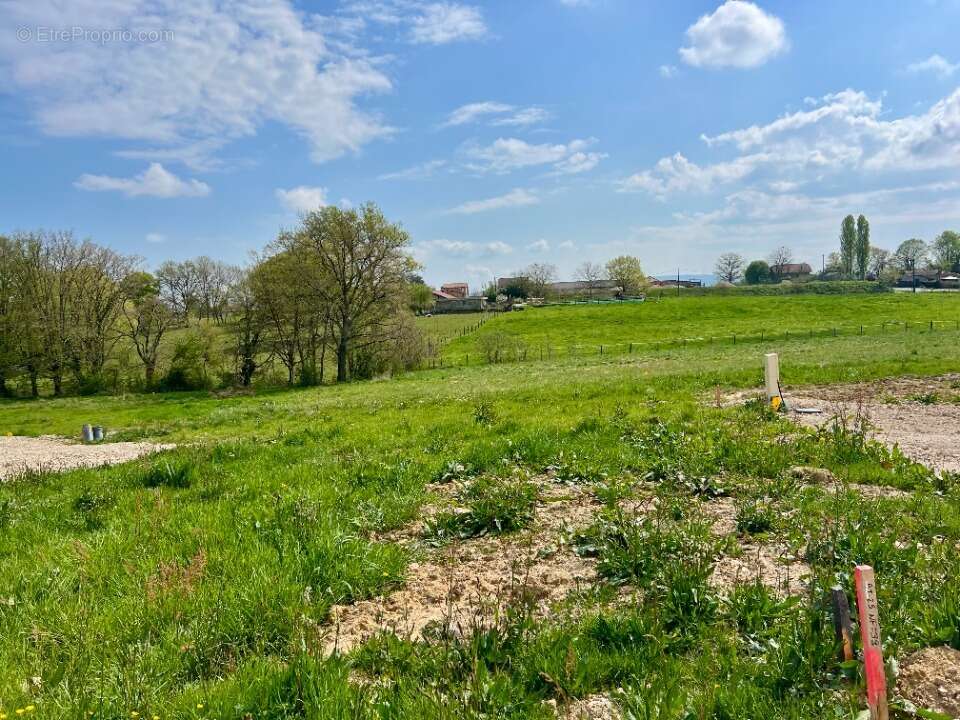 Terrain à MARBOZ