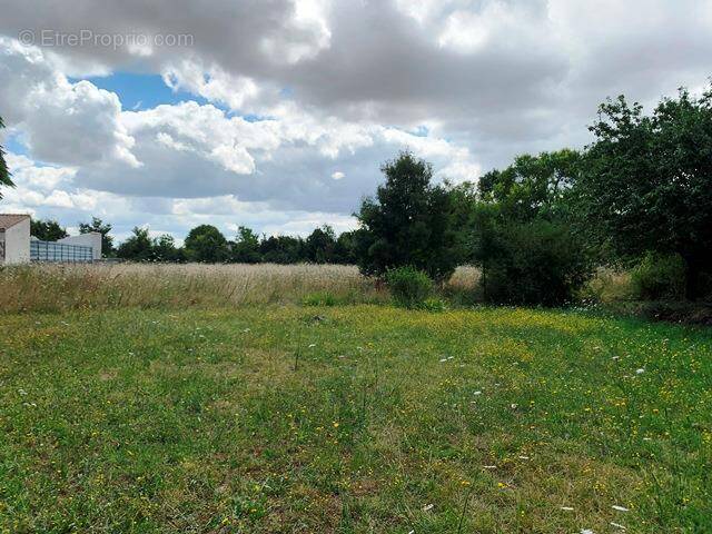 Terrain à VERINES