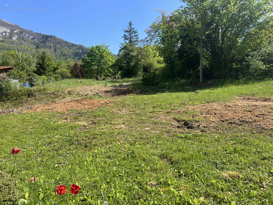 Terrain à COLLONGES-SOUS-SALEVE