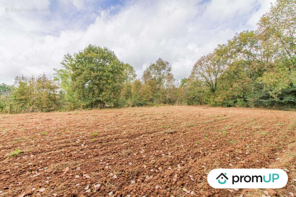 Terrain à CHERVEIX-CUBAS