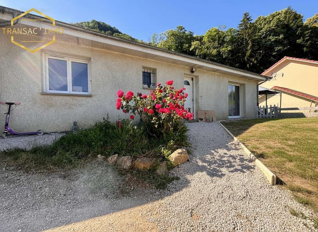 n°1 - Maison à SAINT-GEORGES-DE-COMMIERS