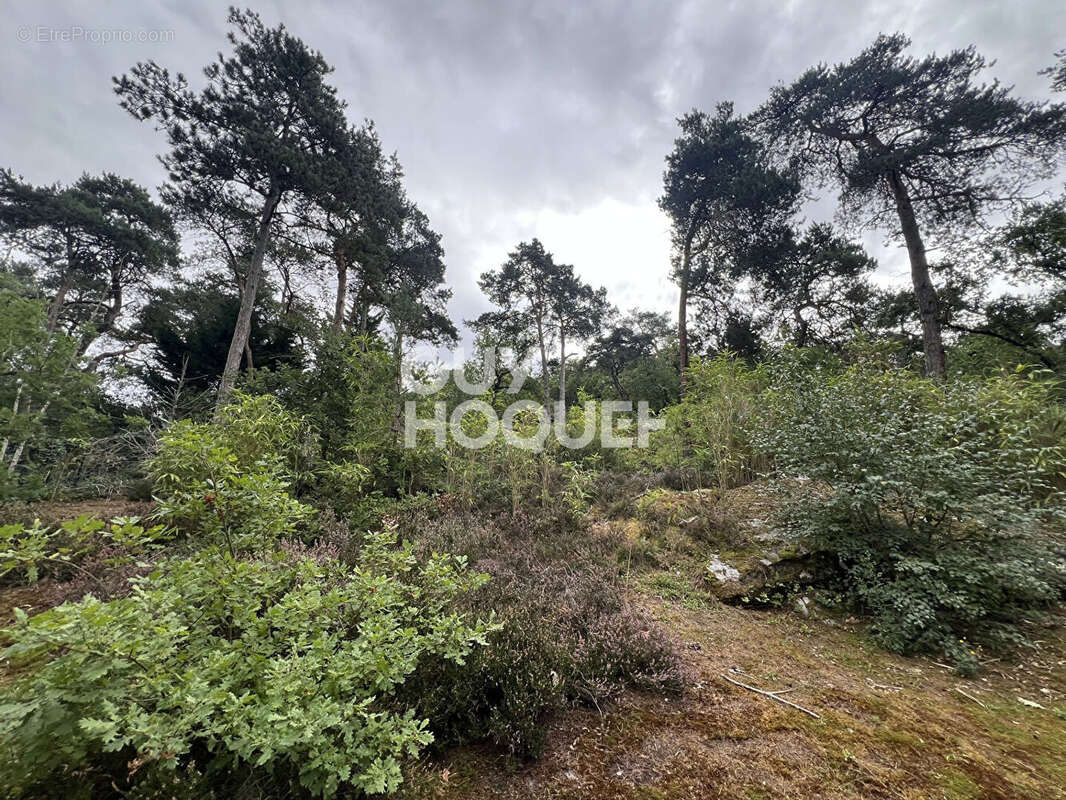 Maison à FONTAINEBLEAU