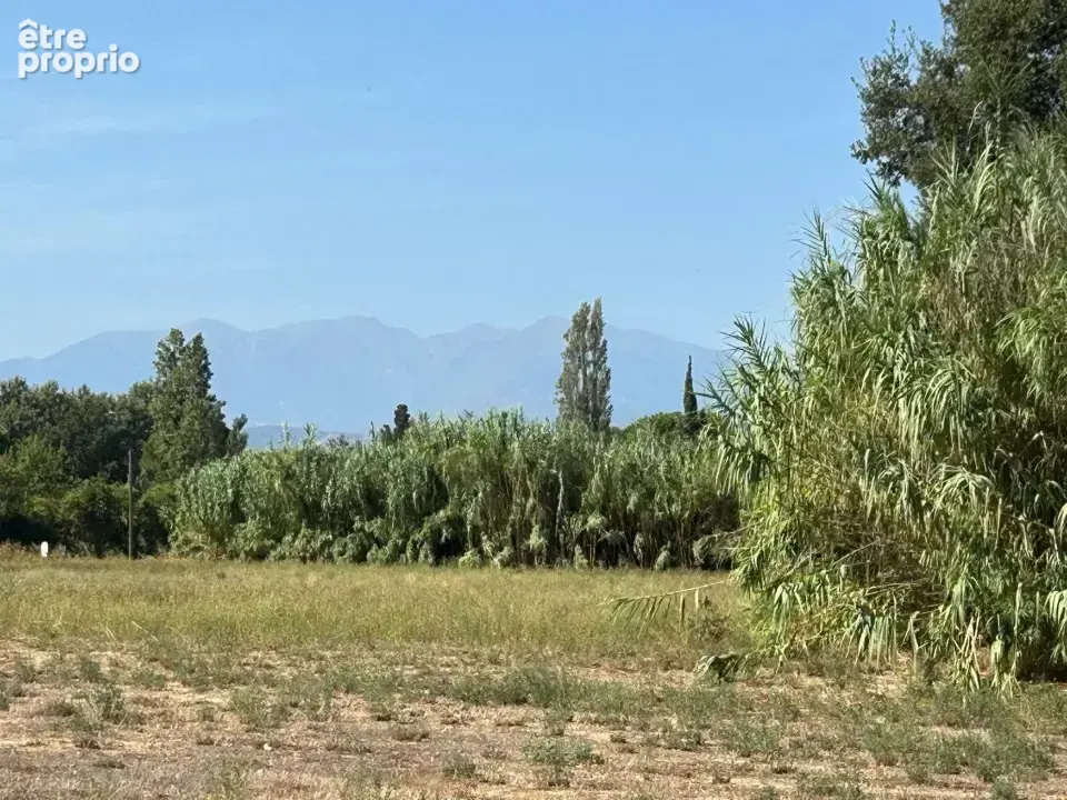 Terrain 734 m² à vendre à Toulouges (66350) - photo 2