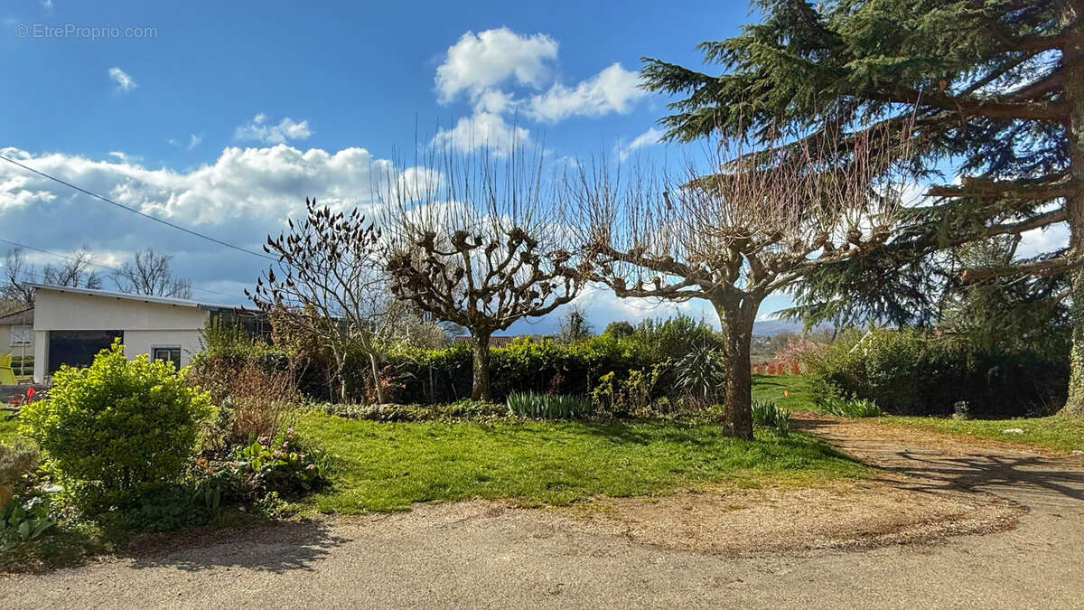 Maison à LA MURETTE