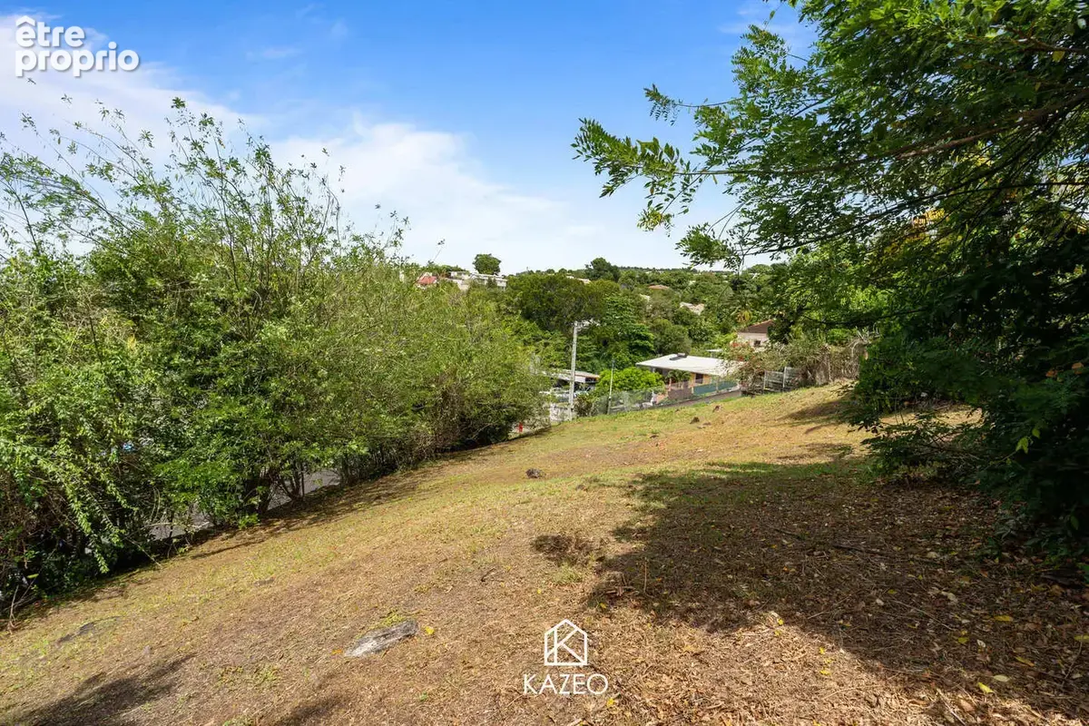 Terrain 1 076 m² à vendre à Schoelcher (97233) - photo 5