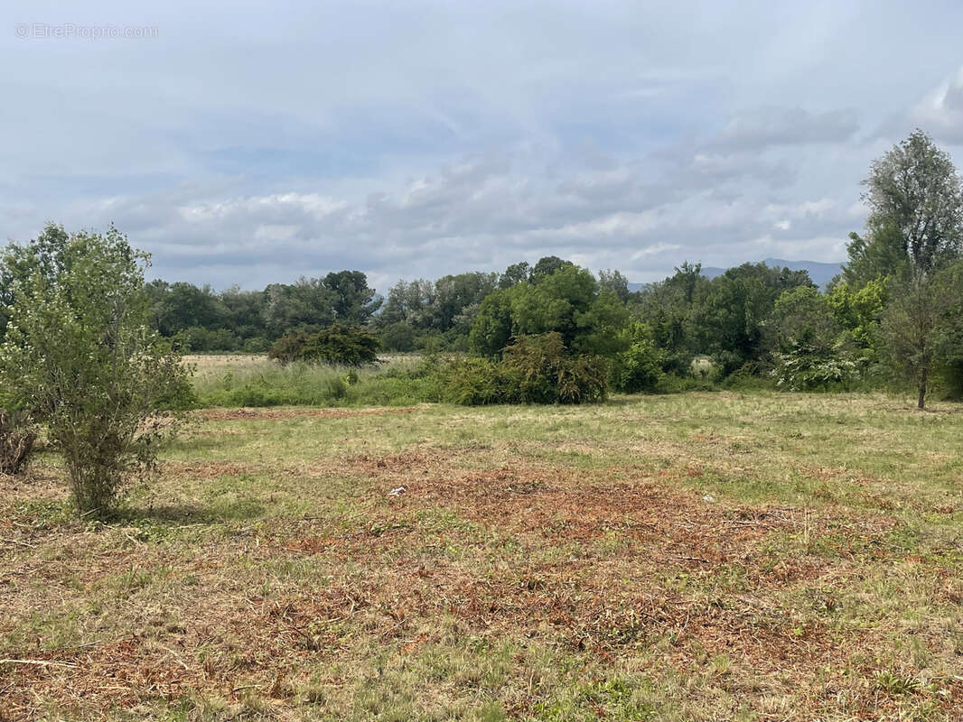 Terrain à GIGNAC