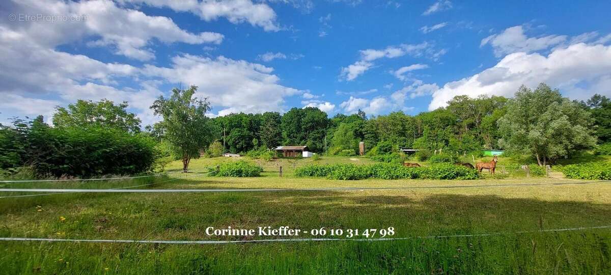 Maison à BETHEMONT-LA-FORET