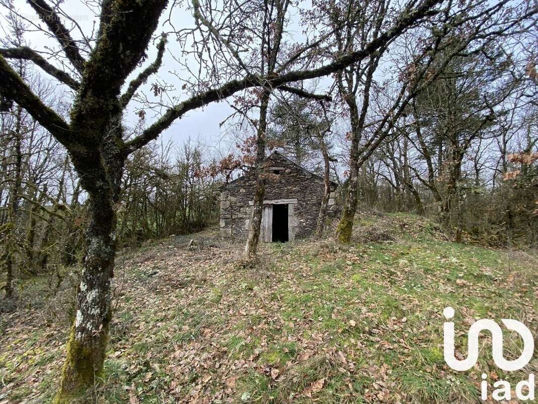 Photo 2 - Maison à MONTAGNOL