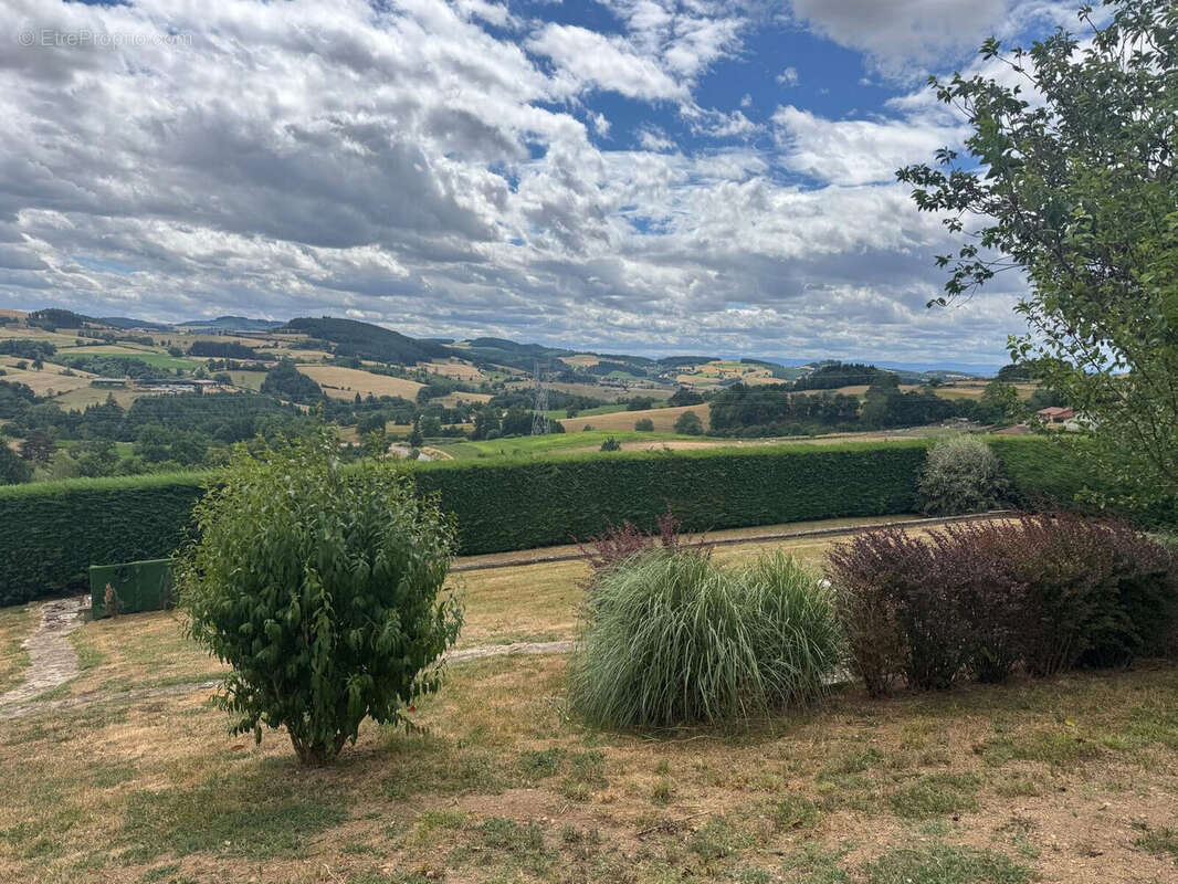 Photo 4 - Maison à AMPLEPUIS