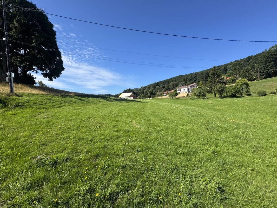 Terrain(s) constructible(s) 13,15a Hohwald - photo 9