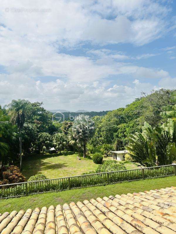 Maison à REMIRE-MONTJOLY