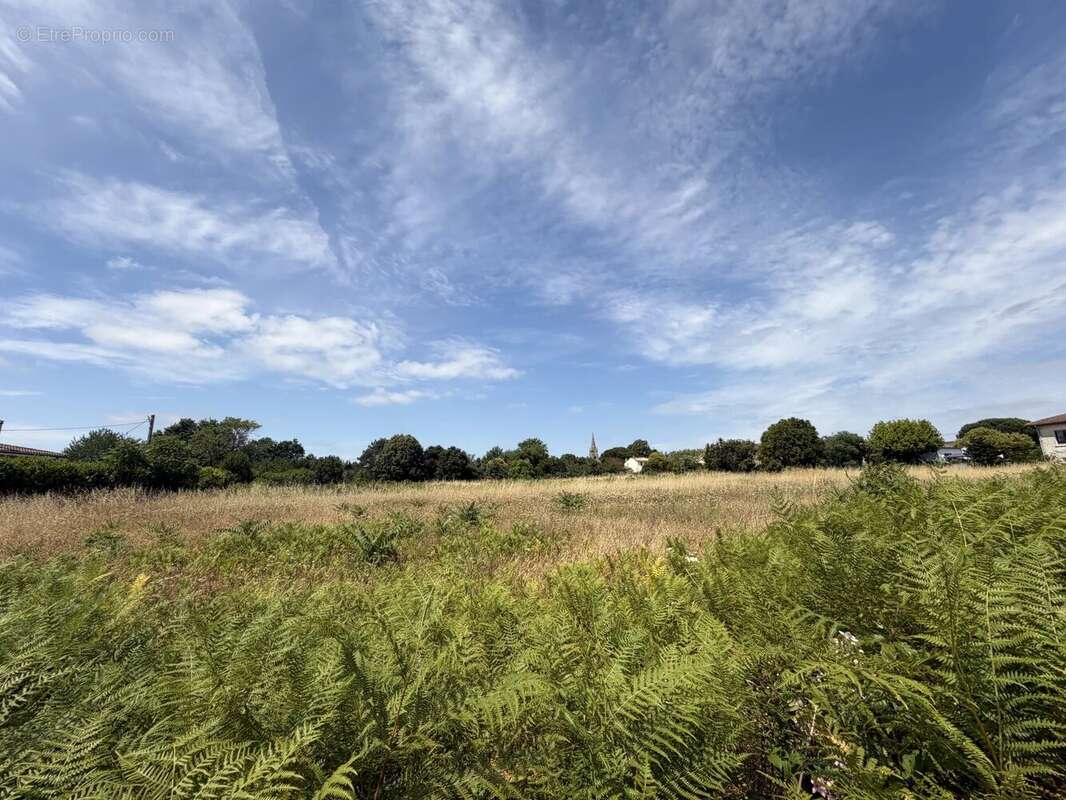 Terrain à SAINT-CIERS-SUR-GIRONDE
