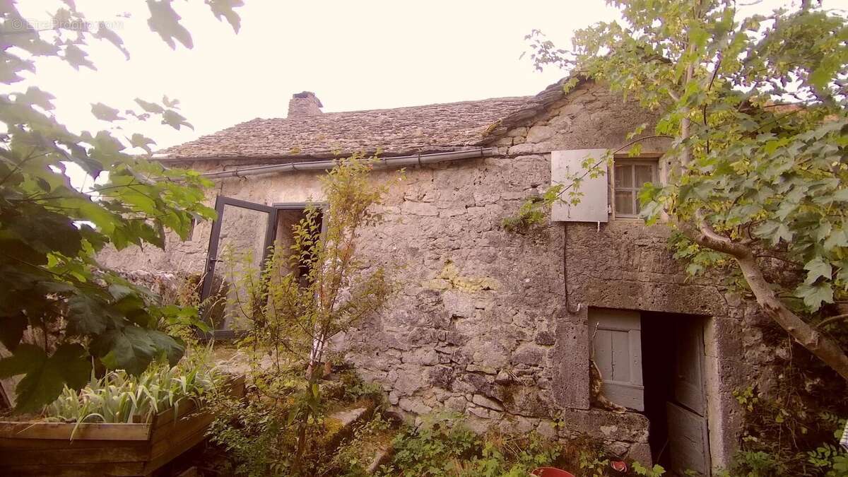 Maison caussenarde de caractère - photo 3