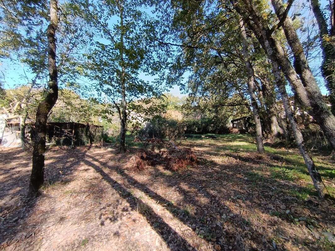 Photo 2 - Terrain à BOULOC