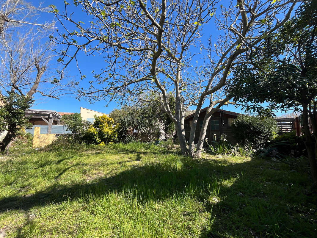 Maison à FRONTIGNAN