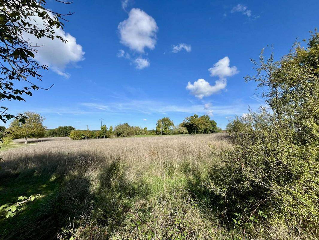 Terrain à BOURDEILLES