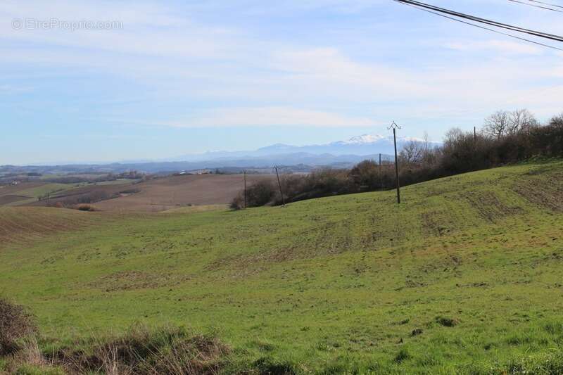 Maison à LEZAT-SUR-LEZE