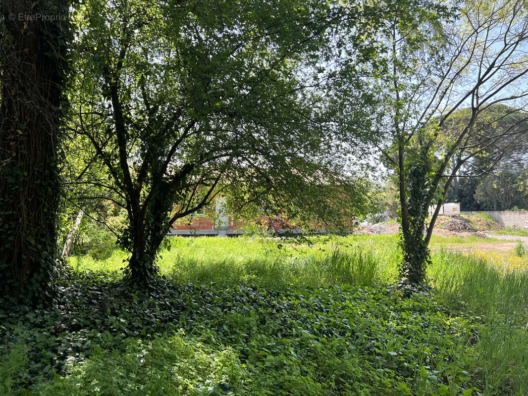 Terrain à SAINT-PRIVAT