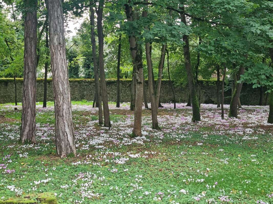 Maison à SAVONNIERES