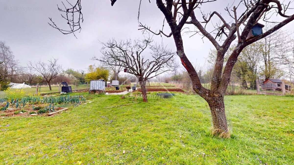 Maison à CREUZIER-LE-VIEUX