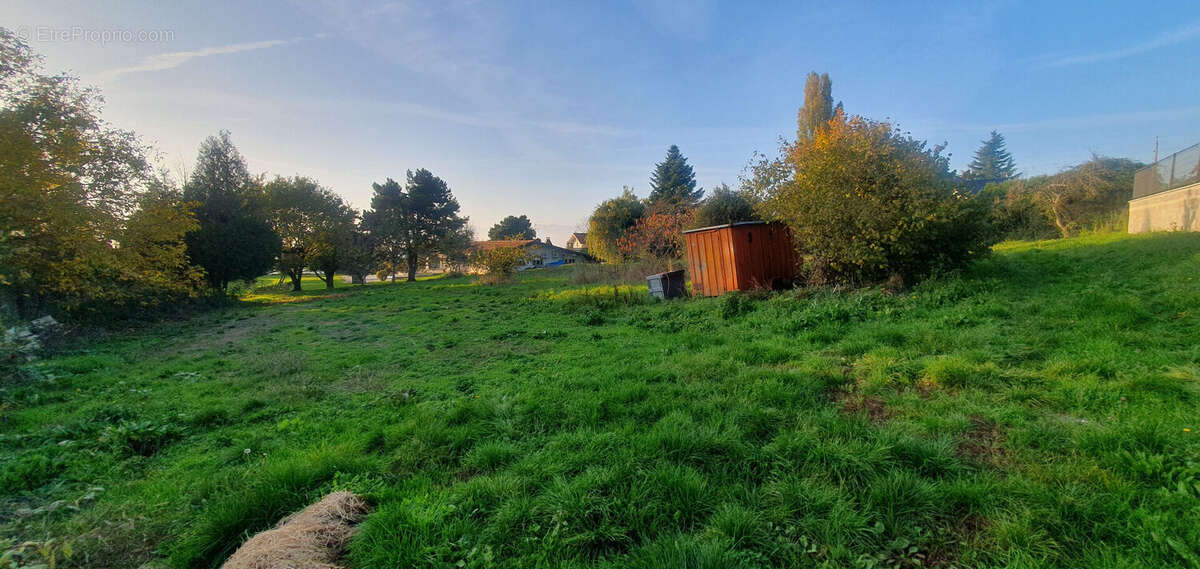 Terrain à CRANVES-SALES