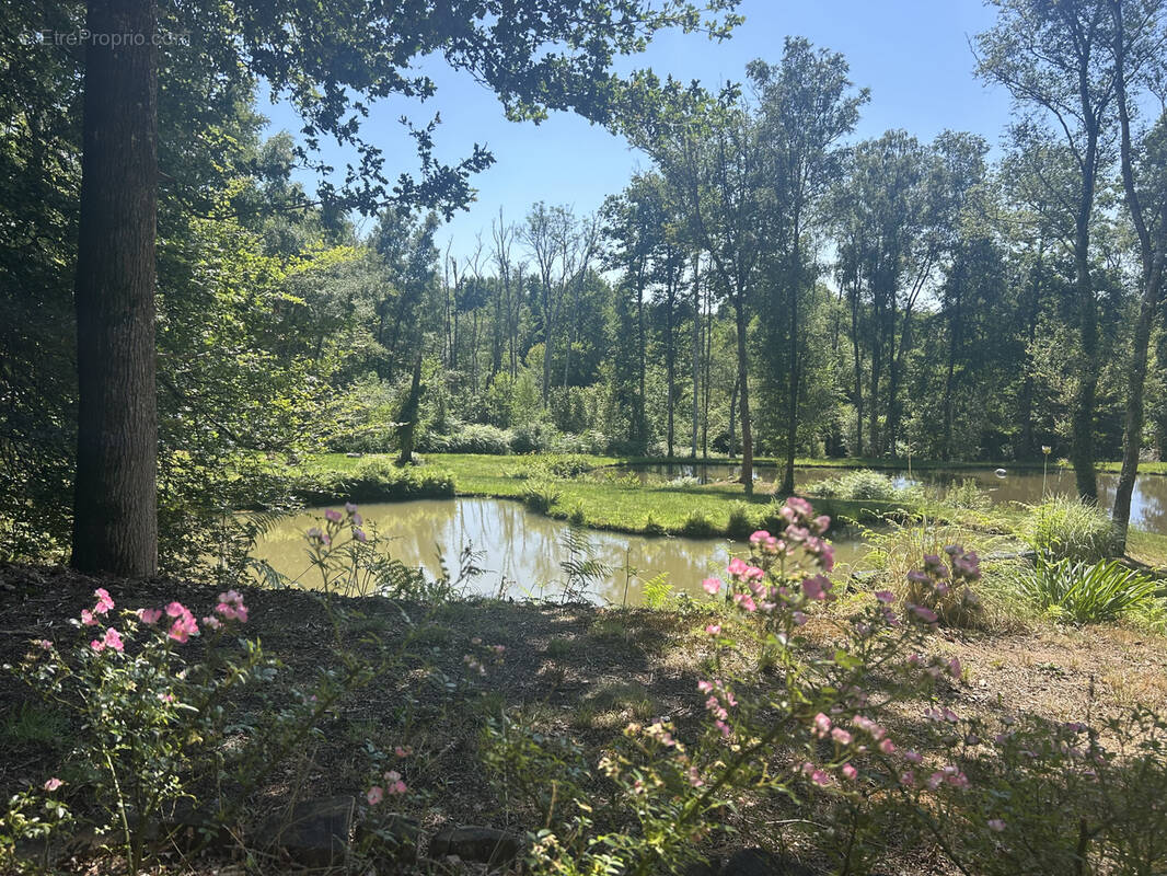 Terrain à LA POTERIE-AU-PERCHE
