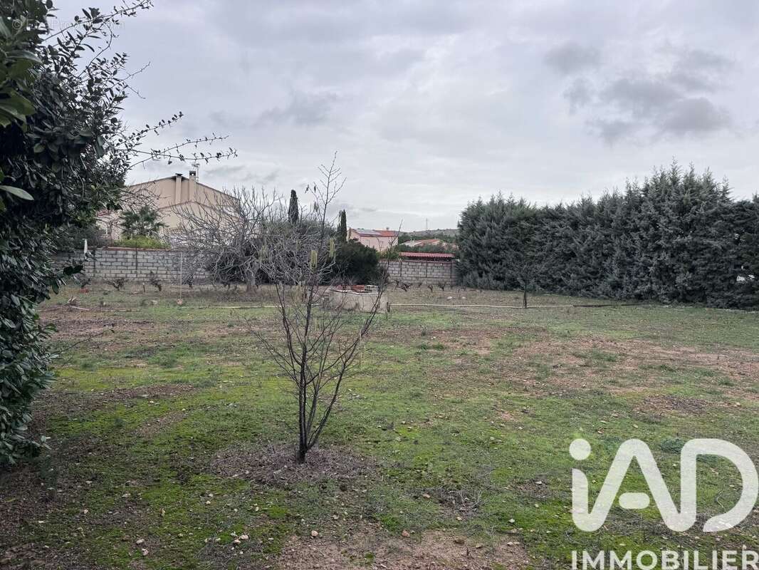 Photo 3 - Terrain à SALSES-LE-CHATEAU