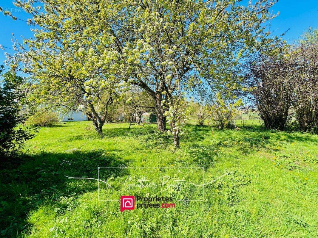 Maison à COULOMMIERS