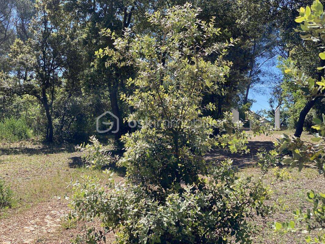 Terrain à BELCODENE