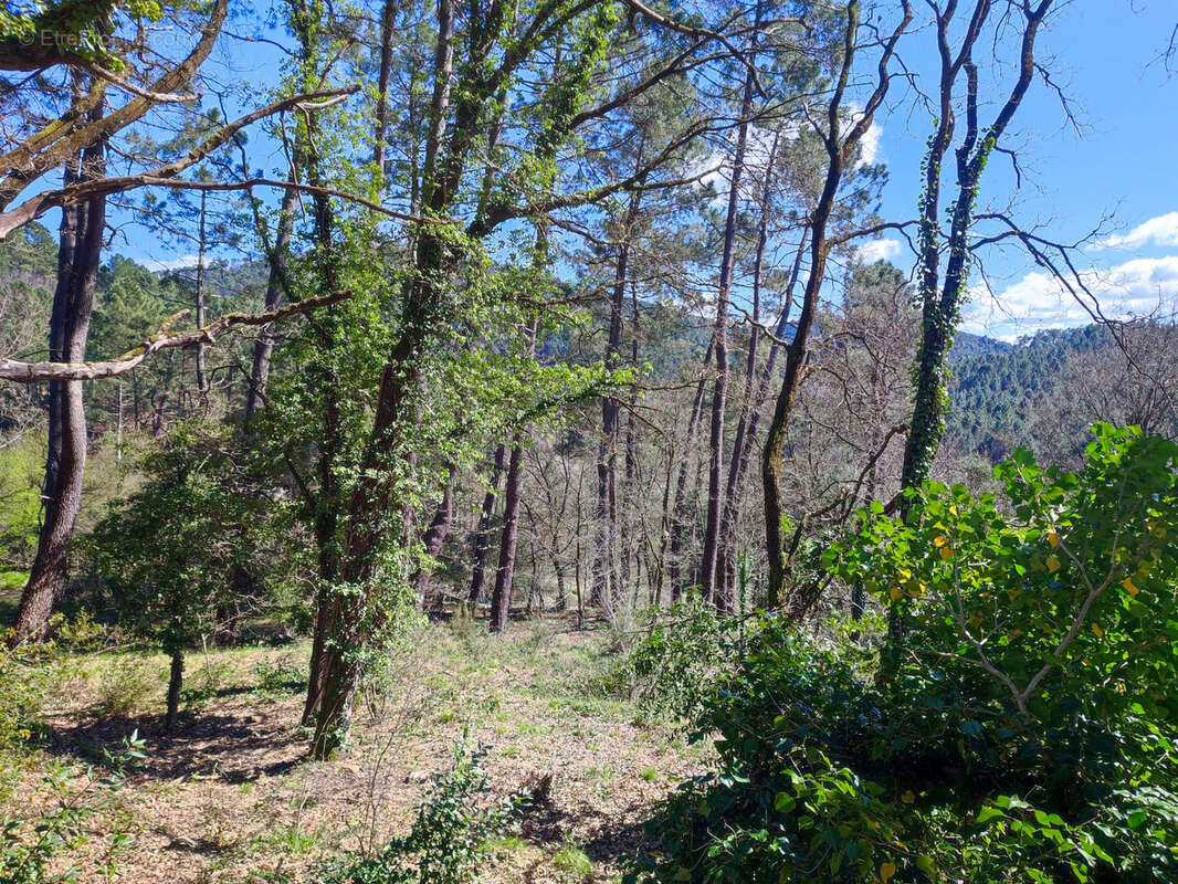 Terrain à LAVAL-PRADEL