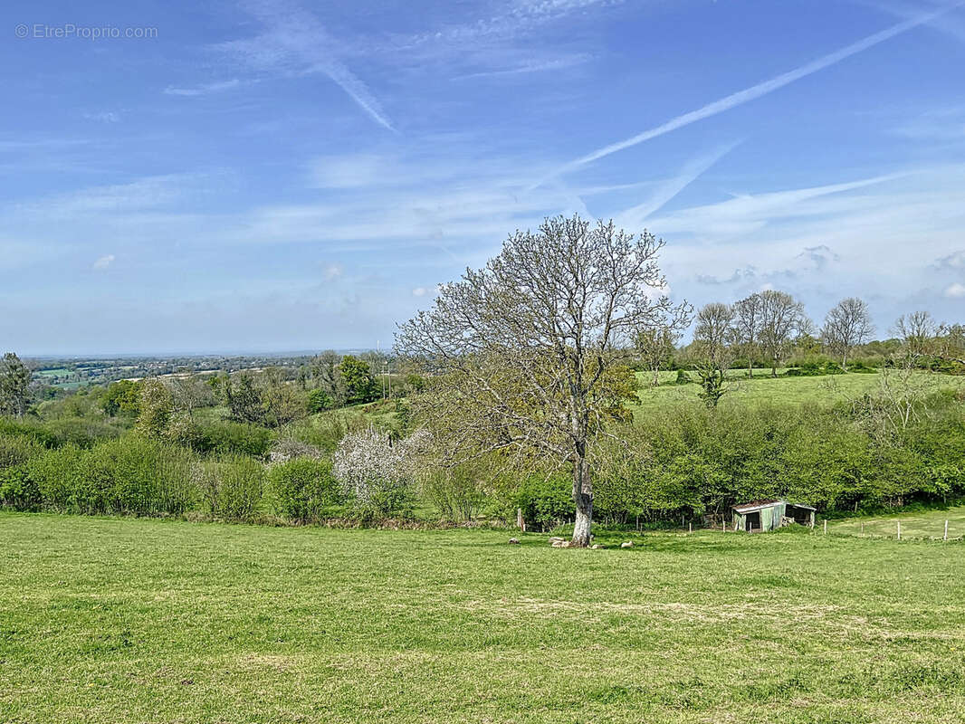 Terrain à MONTHUCHON